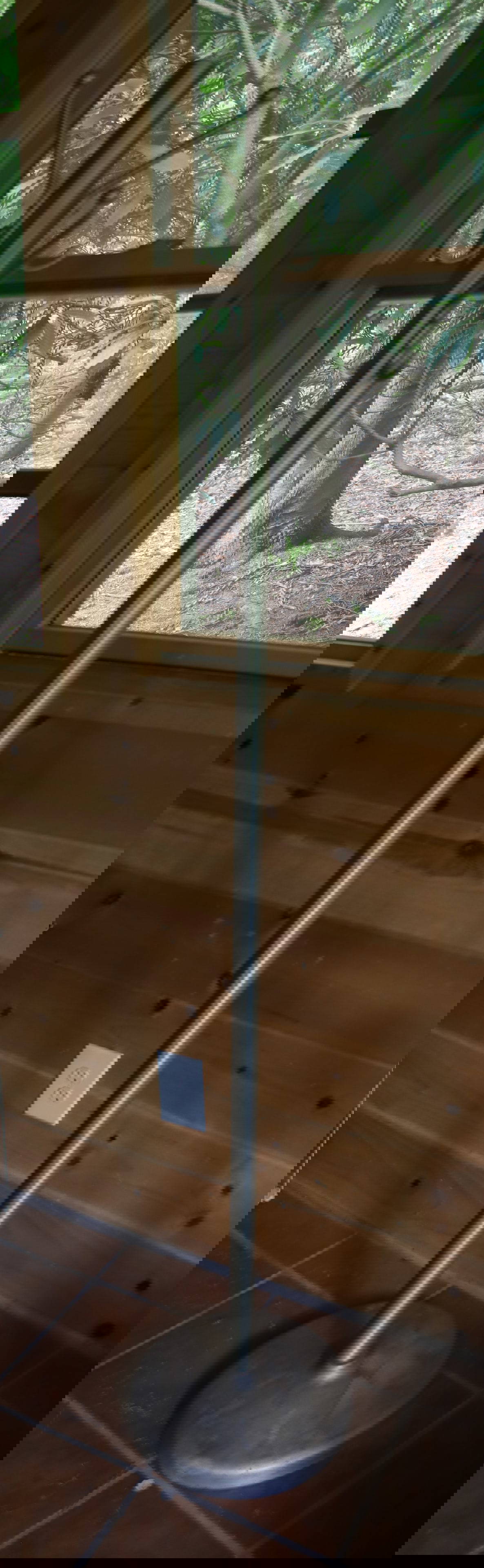 Brushed Metal Clothes Tree Auction