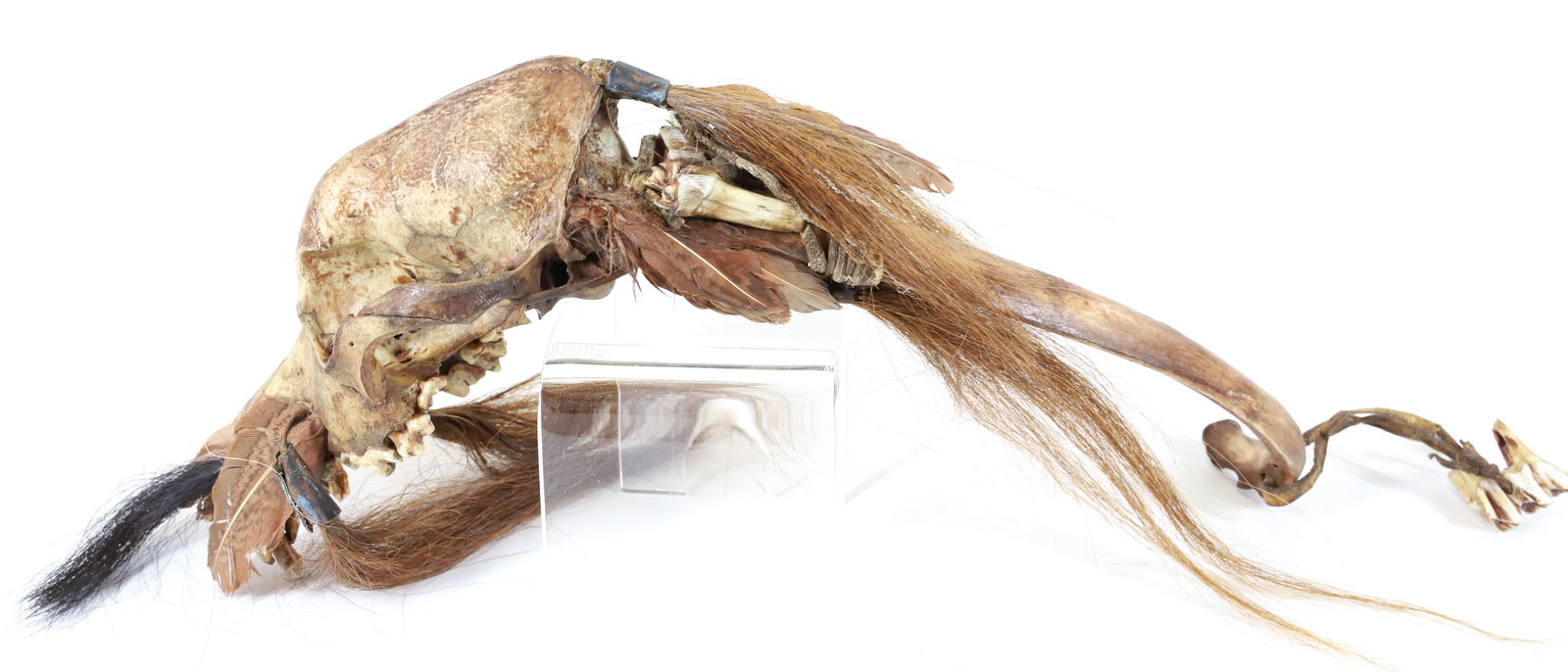 NATIVE AMERICAN RATTLE (1 of 6)