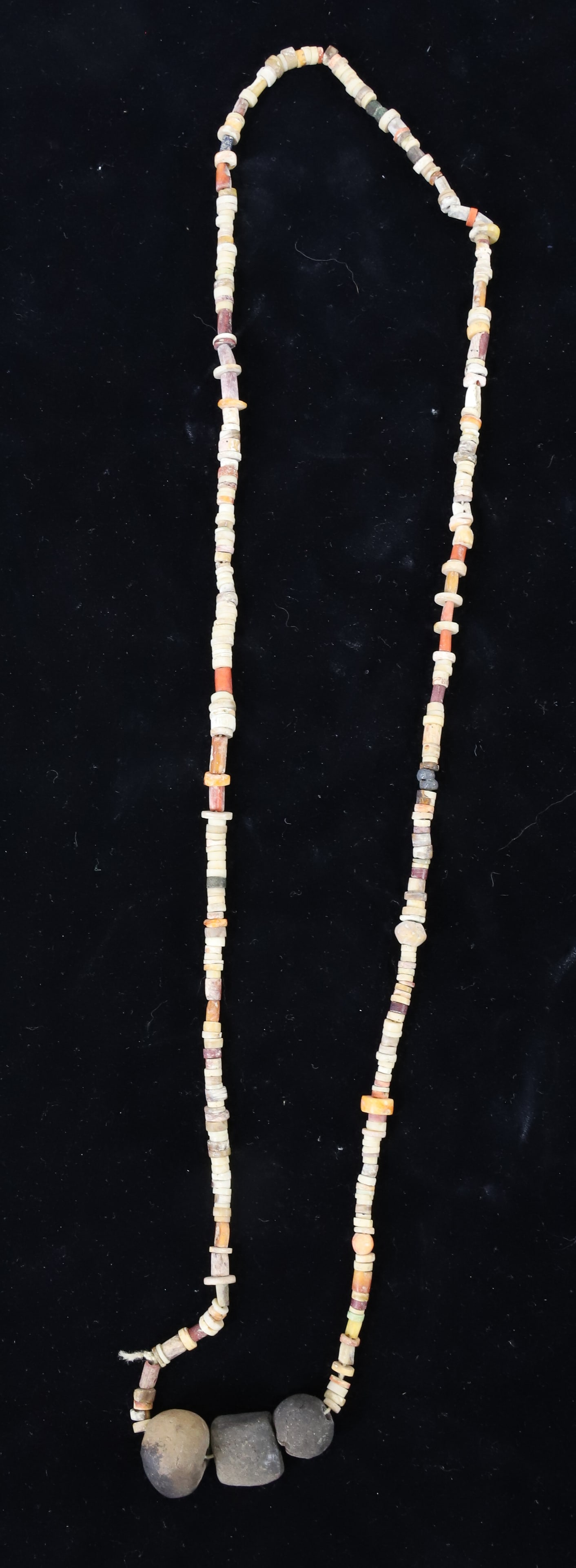 BAHIA SHELL NECKLACE: PERU, CA. 200 BC-500 AD. EX. ELLIOTT BERSTEIN, SARASOTA, FL. WITH COA. 14" DROP LENGTH. TERMS: PLEASE READ CAREFULLY - Terms for Purchasing and Shipping of Auction Items. Please read carefully before 