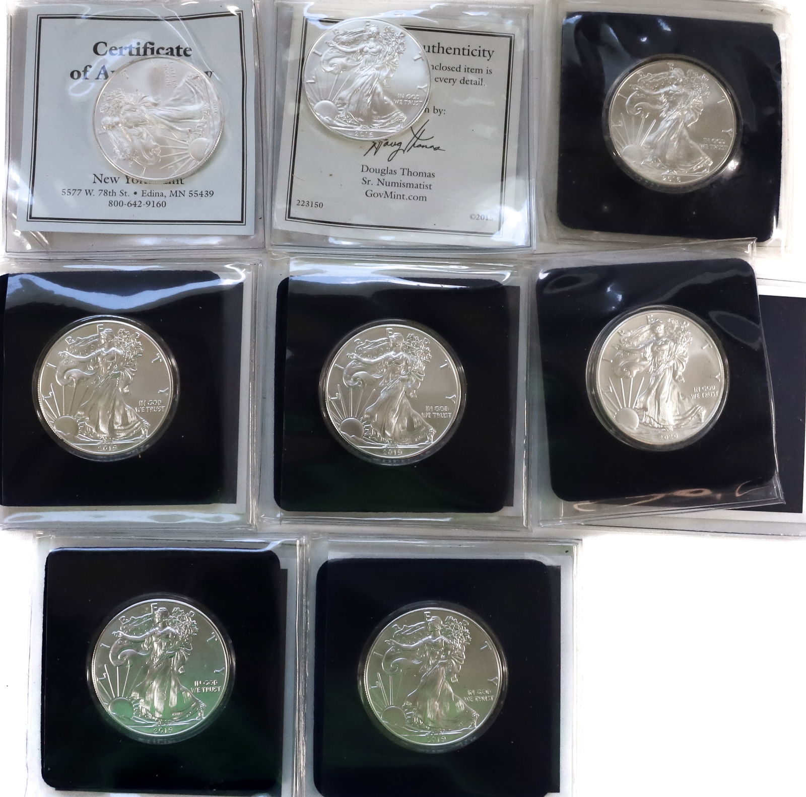 SILVER AMERICAN EAGLE LOT (1 of 5)