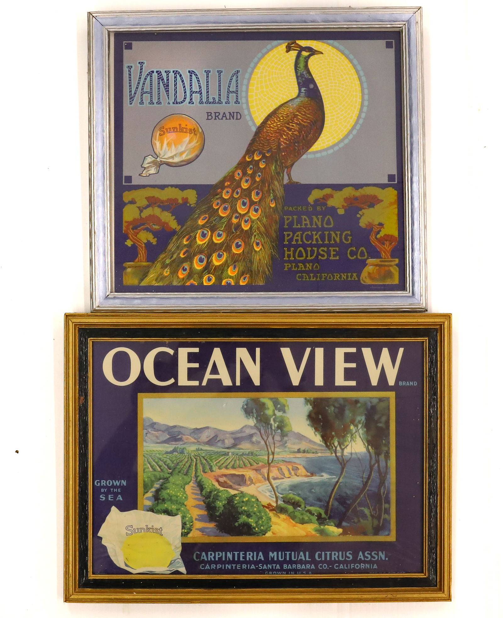 (2) VINTAGE FRAMED CRATE LABELS (1 of 4)