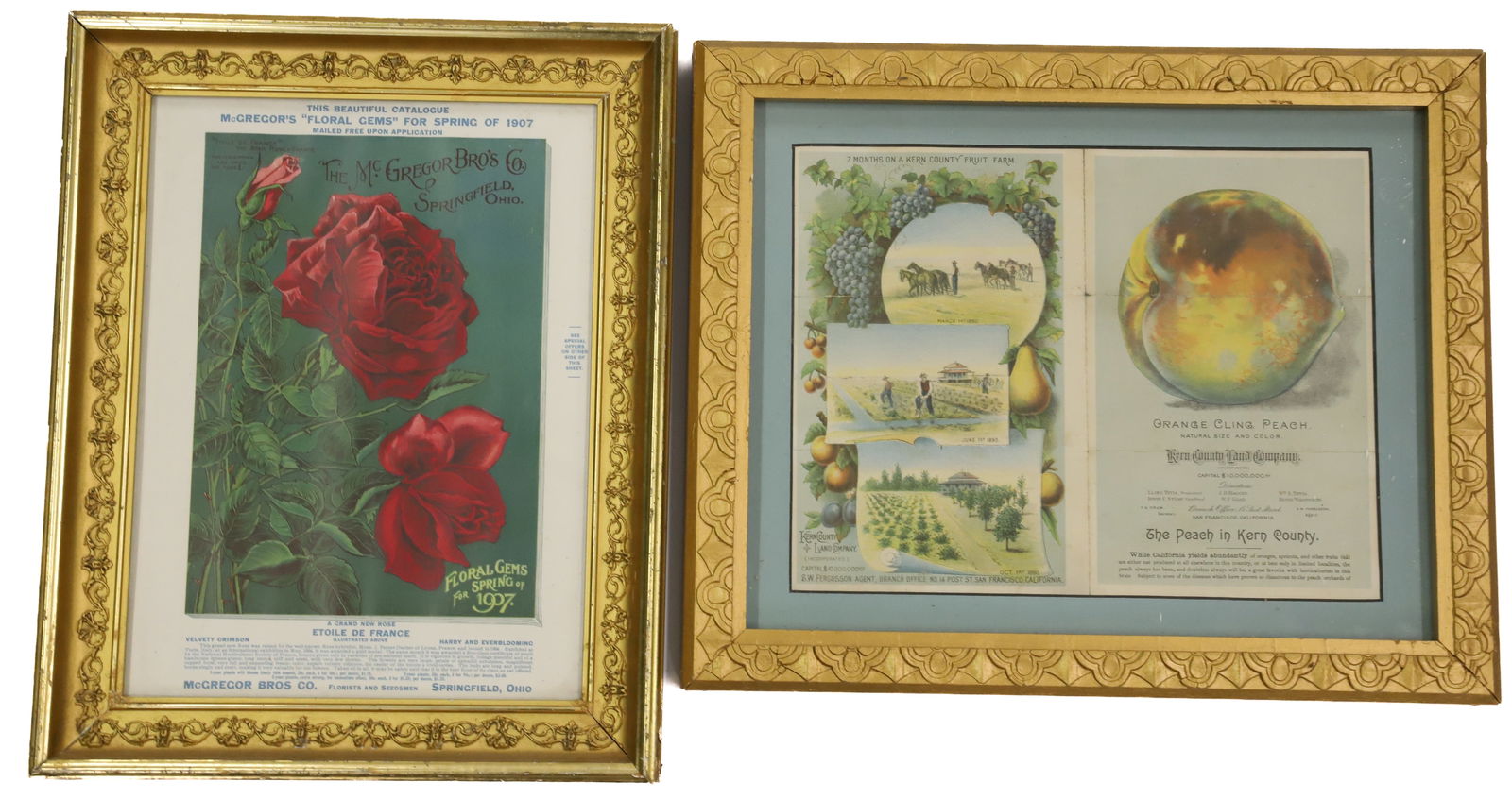 FLOWER AND FRUIT FRAMED ADVERTISEMENTS (1 of 5)