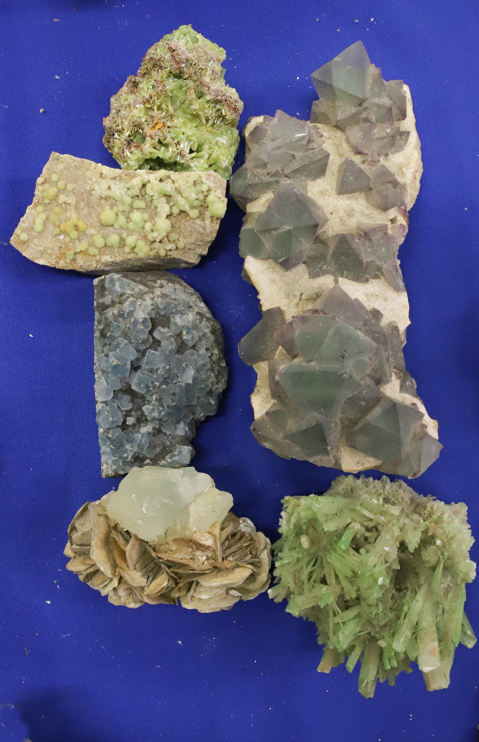 (6) SPECIMEN CLUSTERS, GEODES: LARGEST 7 1/2" LENGTH. Terms: PLEASE READ CAREFULLY -THIS IS AN ONLINE ONLY AUCTION WITH ABSENTEE AND PHONE BIDDING AS WELL. Terms for Purchasing and Shipping of Auction Items. Please read carefully b