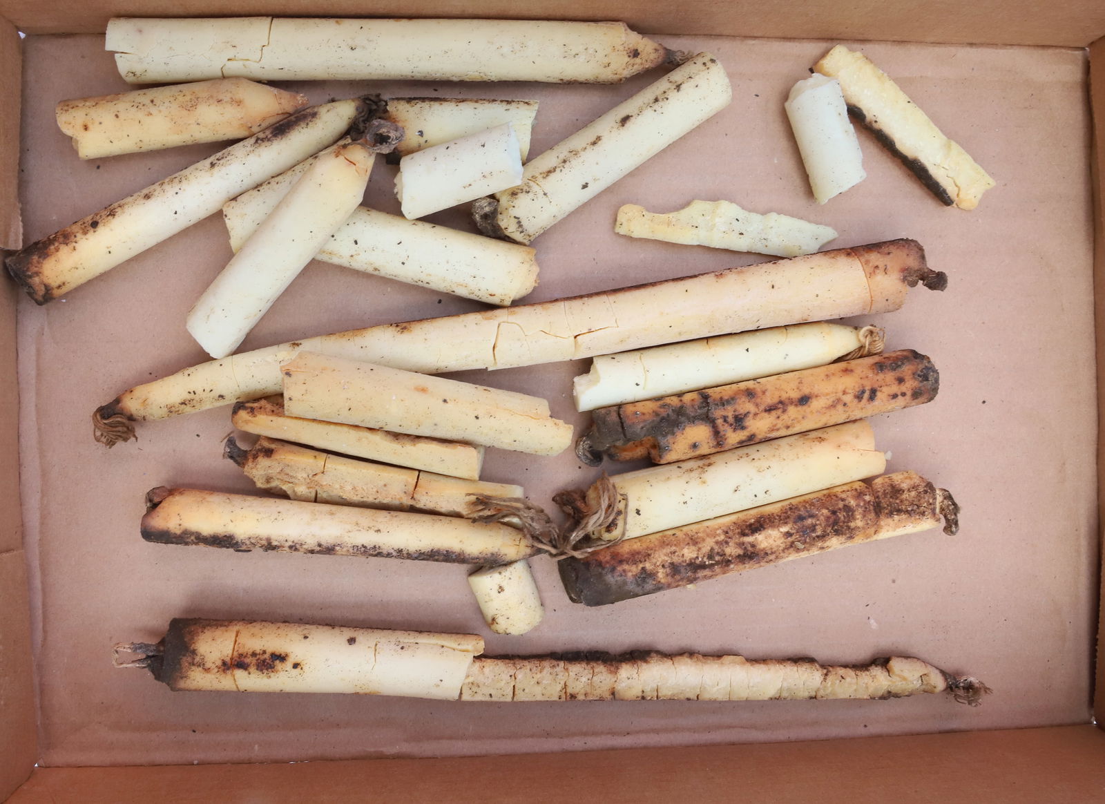 LOT OF EARLY 19TH CENTURY TALLOW CANDLES (1 of 3)