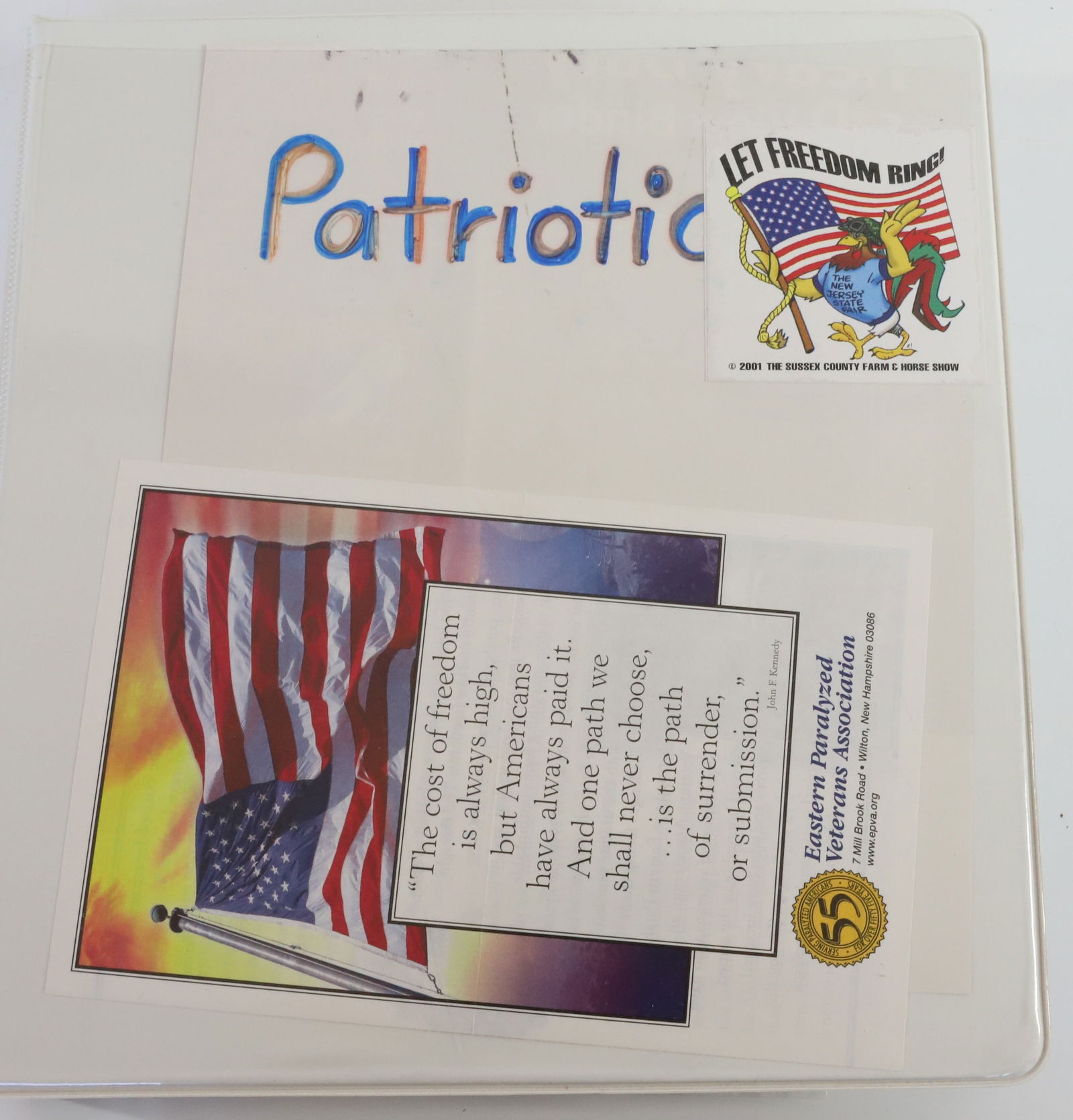 ANTIQUE PATRIOTIC POSTCARD ALBUM (1 of 8)
