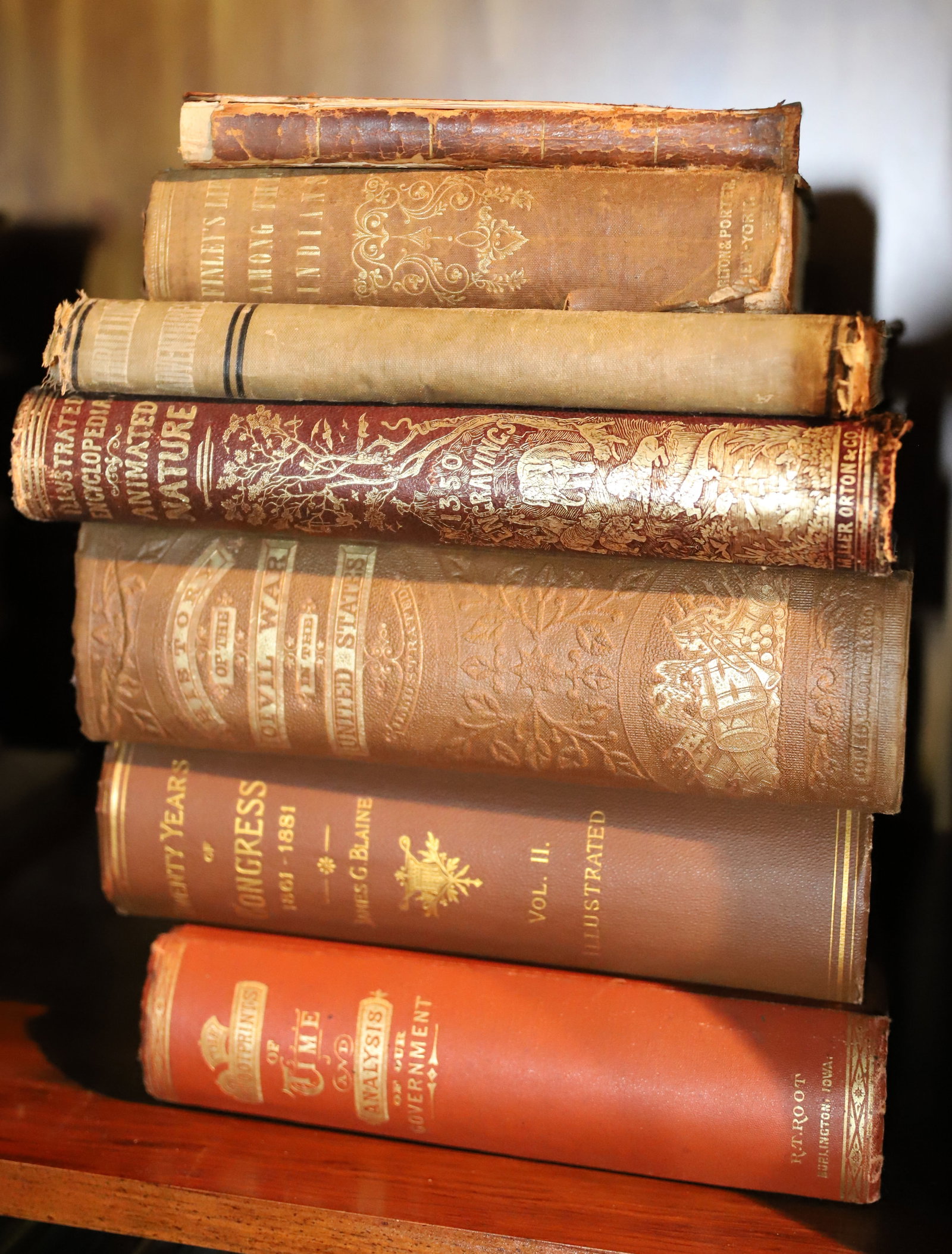 LOT OF ANTIQUE BOOKS: INCLUDING; THE FOOTPRINTS OF TIME, 1876 - 20 YEARS OF CONGRESS - HISTORY OF THE CIVIL WAR AND THE UNITED STATES, 1865 - AND MORE Terms: PLEASE READ CAREFULLY -THIS IS AN ONLINE ONLY AUCTION. Terms for
