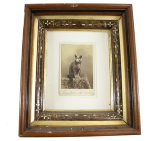 CAT CABINET CARD