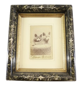 CAT CABINET CARD