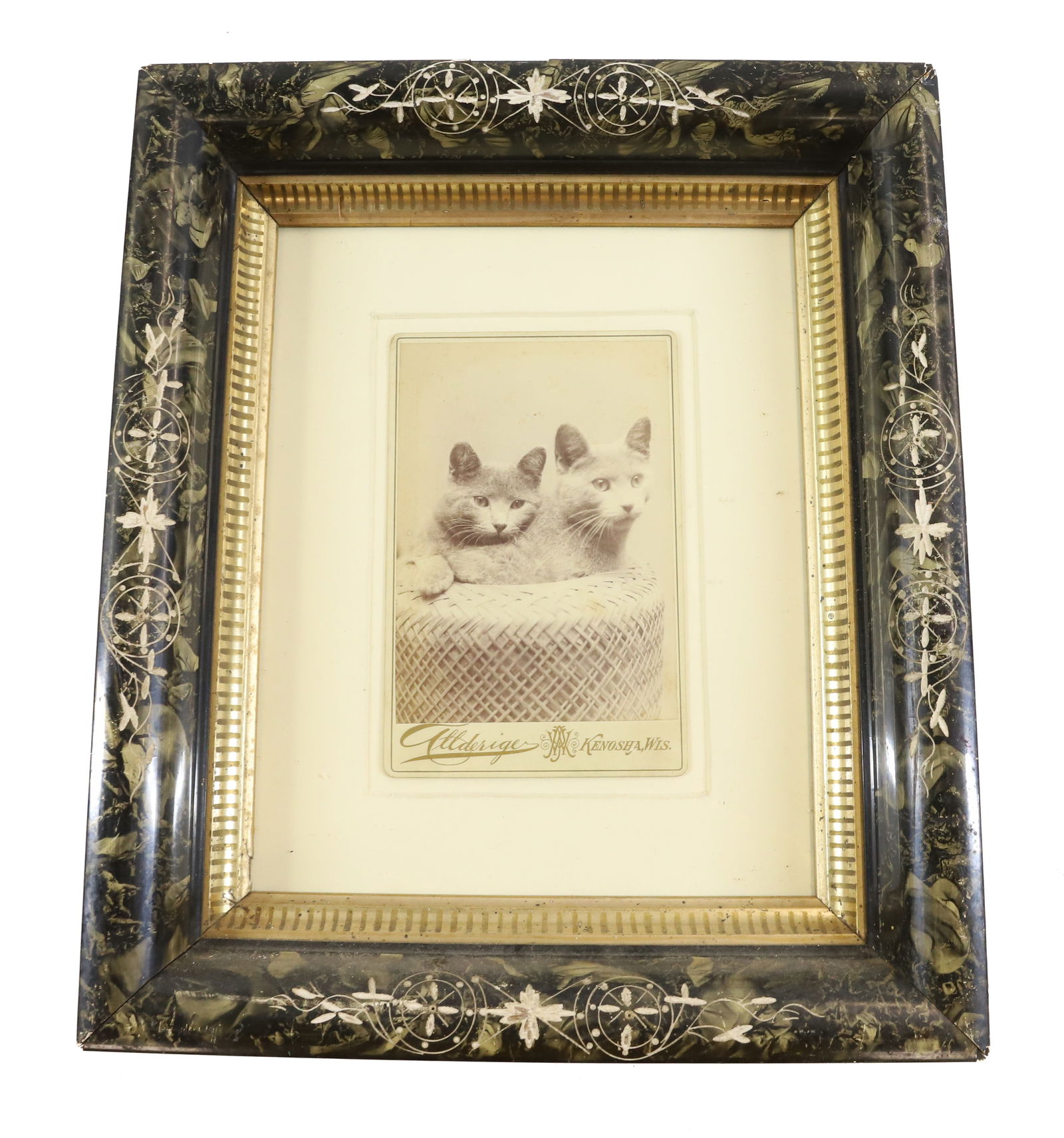 CAT CABINET CARD (1 of 3)