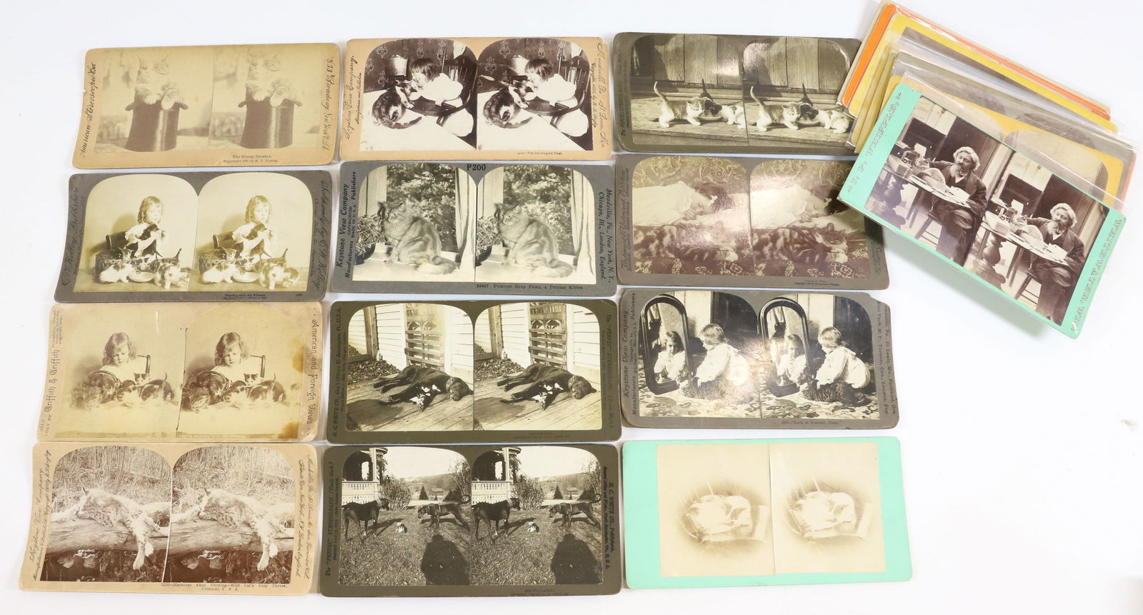 (21) CAT STEREOVIEWS (1 of 2)