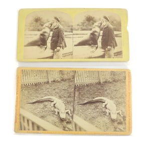 (2) ANIMAL STEREOVIEWS