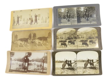 (6) STEREOVIEWS ANIMALS