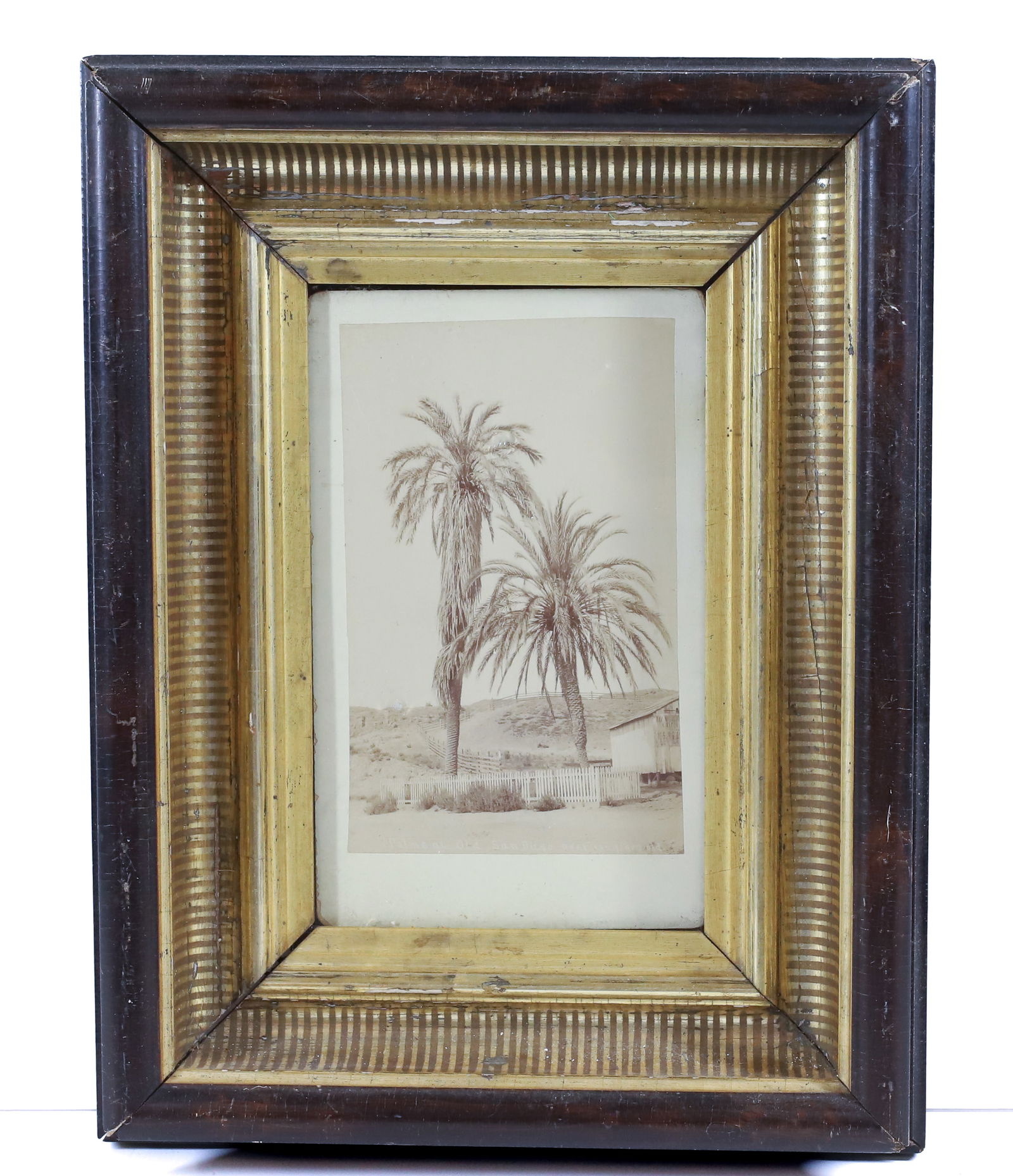 FRAMED CABINET CARD (1 of 4)