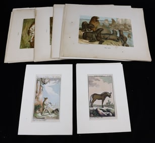 (14) ANIMAL ENGRAVINGS