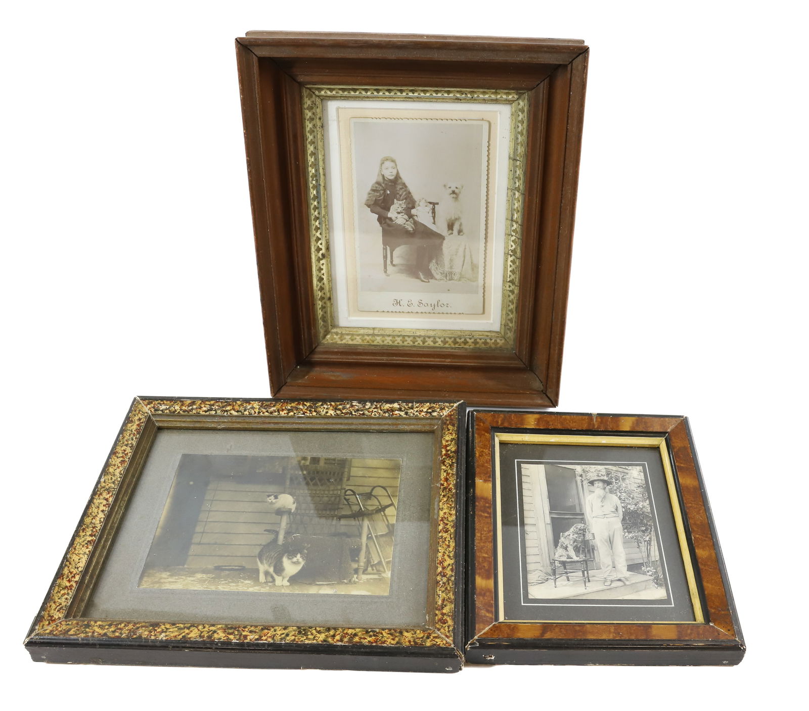 (3) CAT,DOG CABINET CARDS (1 of 5)