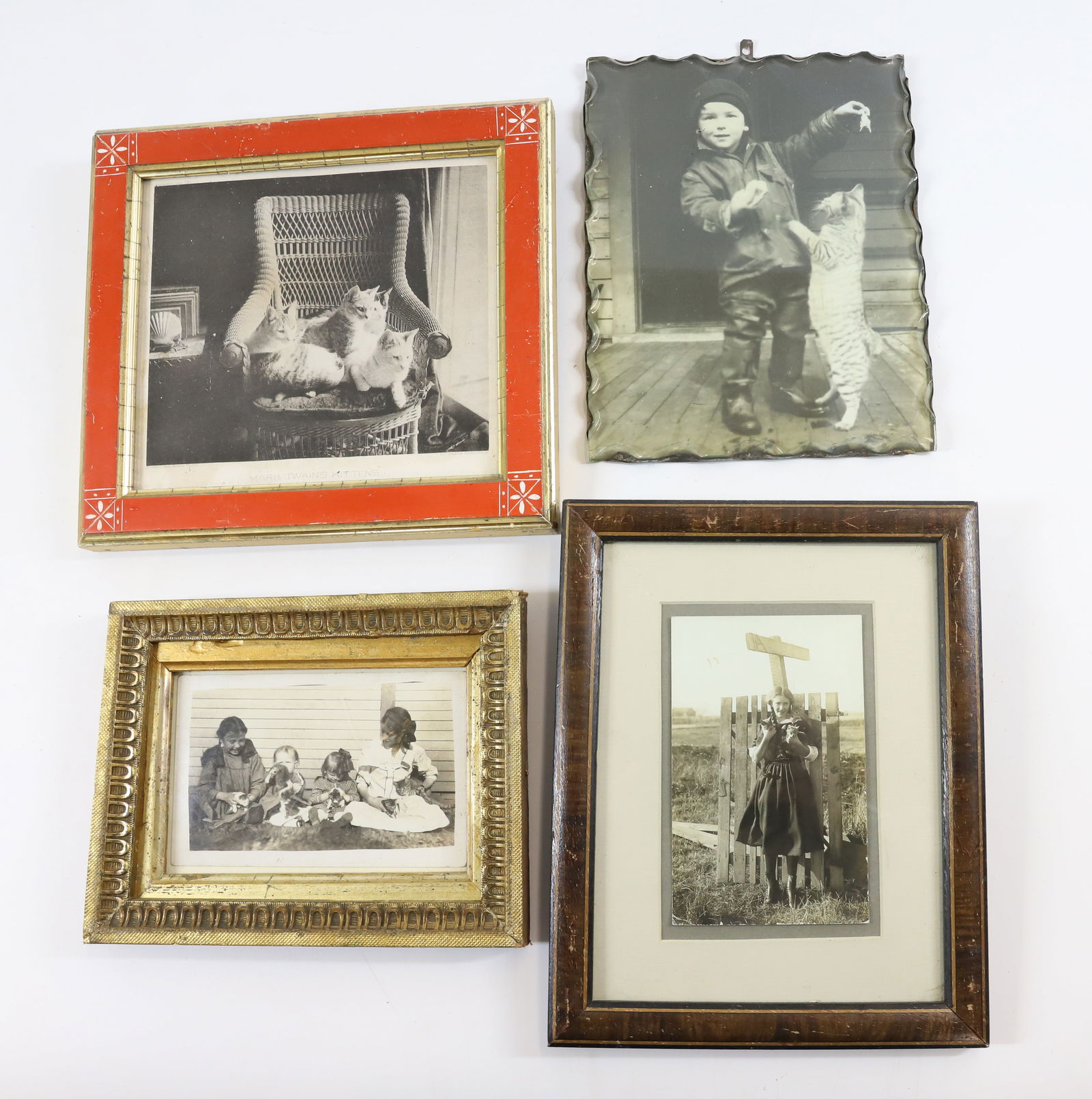 (4) CAT CABINET CARDS (1 of 4)