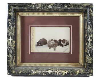 CAT CABINET CARD