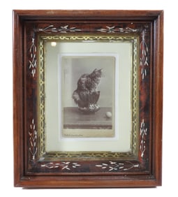 CAT CABINET CARD