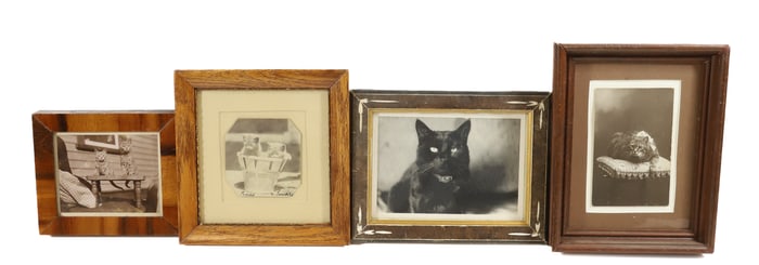 (4) CAT CABINET CARDS