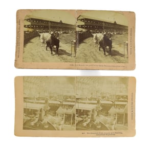 (2) STEREOVIEWS