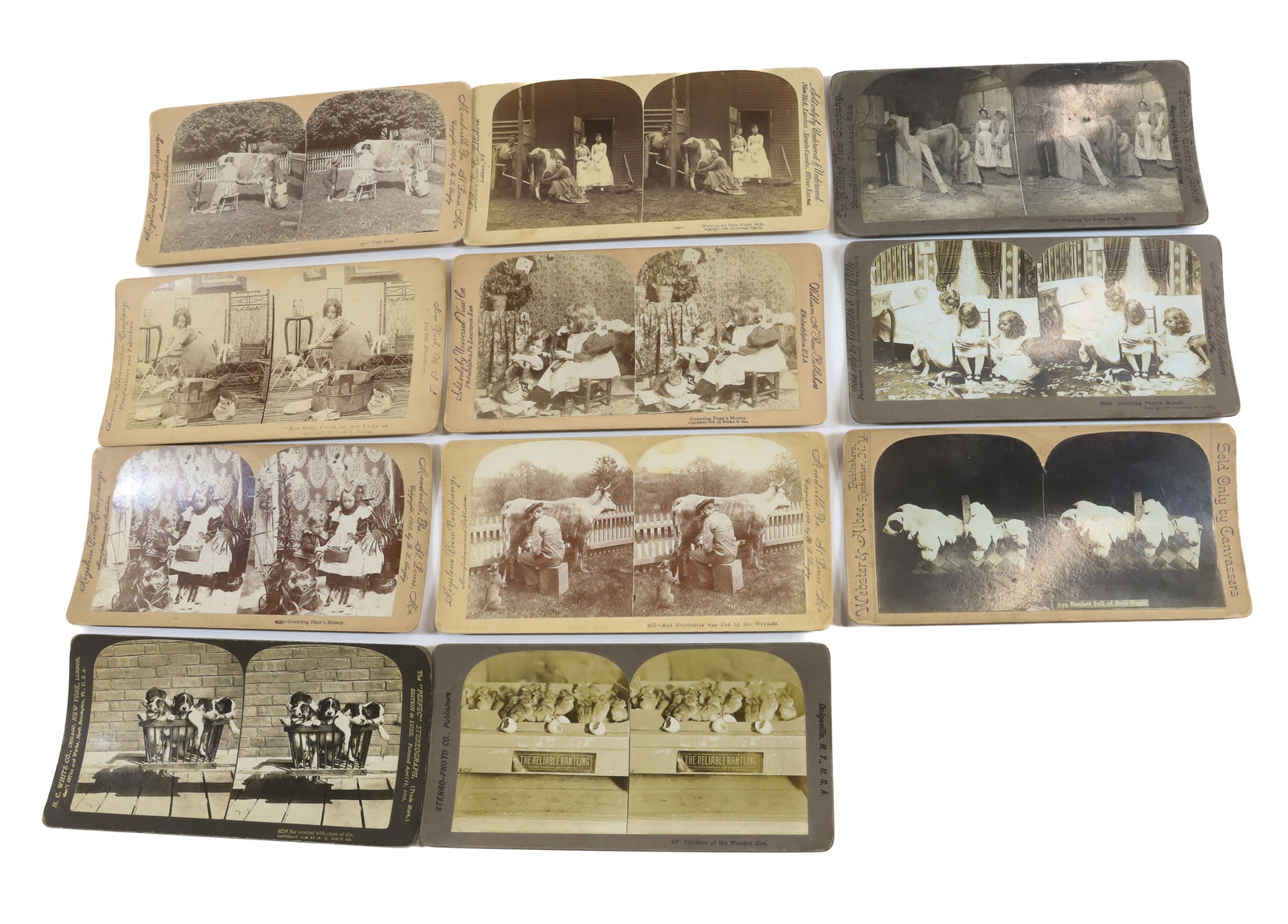(11) STEREOVIEWS  CATS,DOGS,COWS (1 of 5)