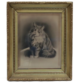 CAT CHARCOAL PORTRAIT