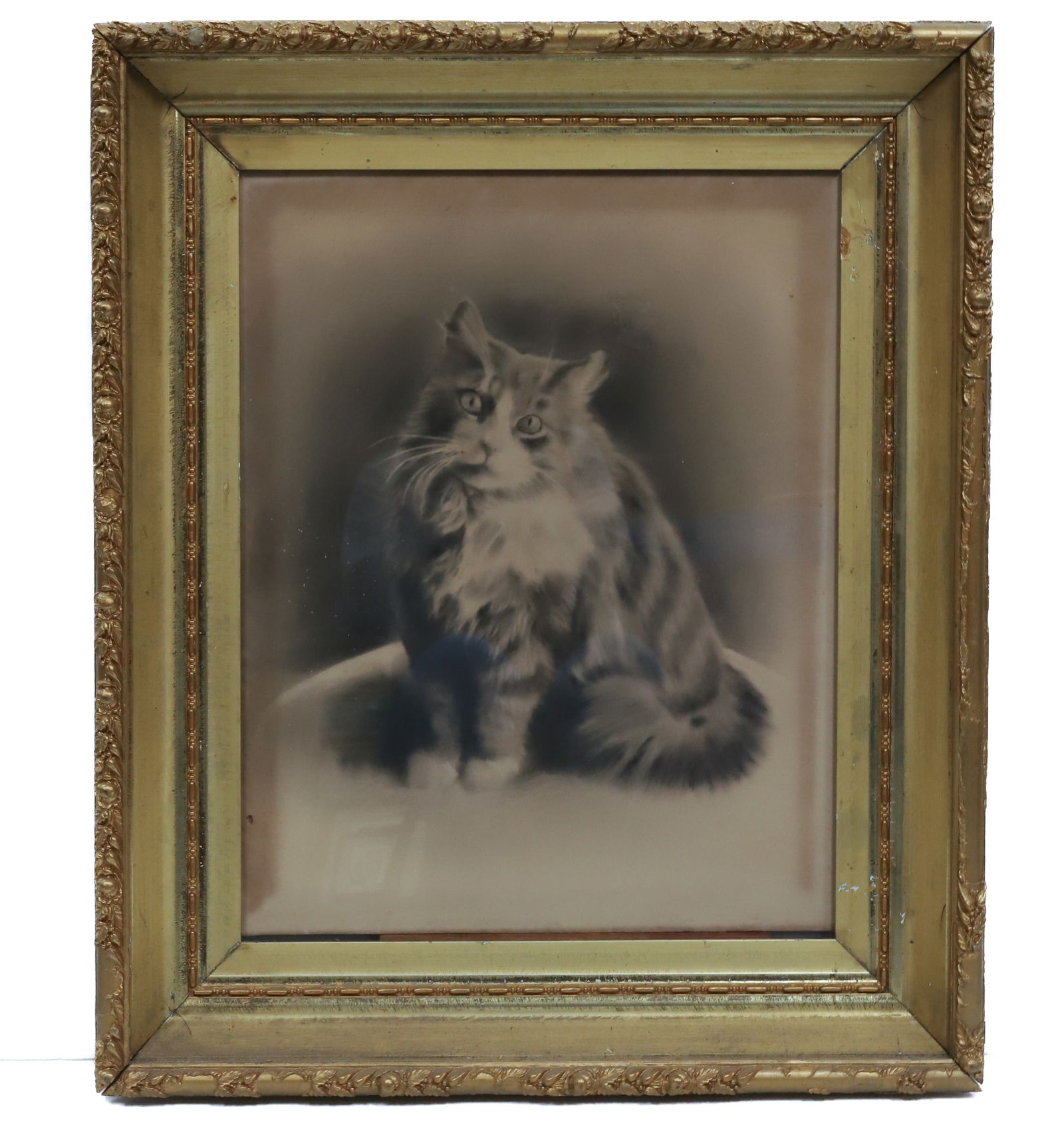 CAT CHARCOAL PORTRAIT (1 of 4)