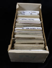 LARGE LOT OF (500+) VINTAGE POSTCARDS