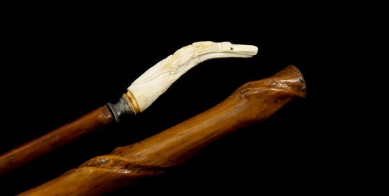 (2) WALKING STICKS
