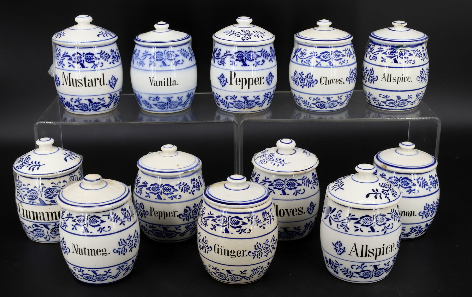 (12) BLUE ONION SPICE JARS (1 of 6)