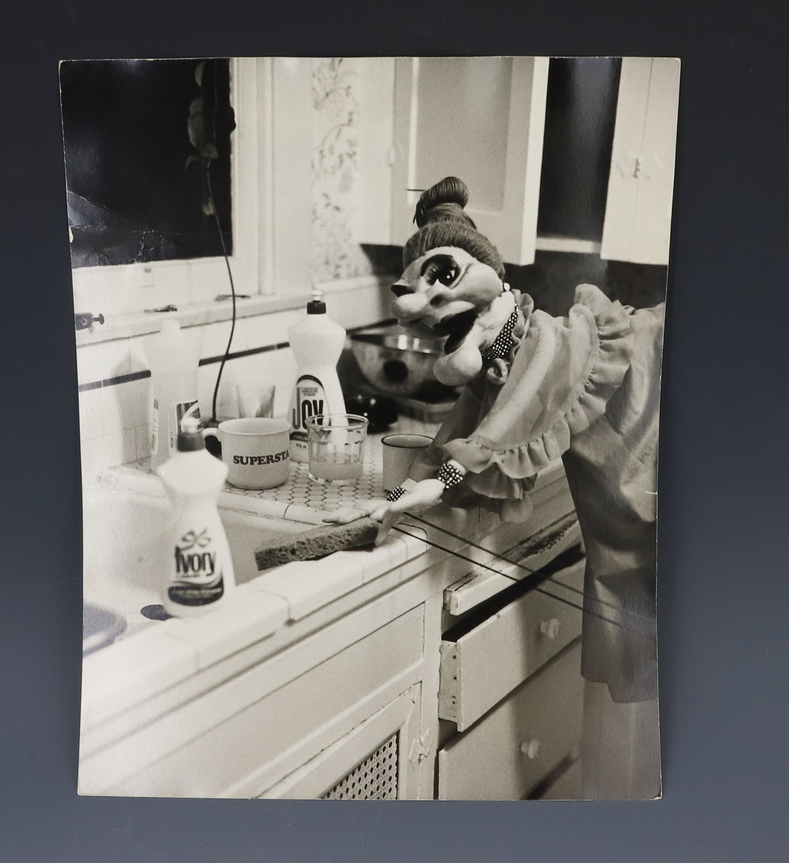 PHOTOGRAPH OF MADAME IN THE KITCHEN: LARGE BLACK AND WHITE OF MADAME (WAYLAND FLOWERS) WITH SPONGE IN THE KITCHEN. STAMPED "1977 RICHARD AMSEL, 33 EAST 83RD STREET, NEW YORK, NY. 10028" 14" X 11". PLEASE READ CAREFULLY - Terms for Purcha