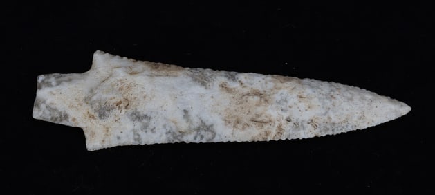 7"  AGATIZED CORAL ARROWHEAD