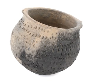 NATIVE AMERICAN DECORATED POT