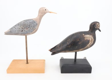 (2) SHORE BIRD LOT
