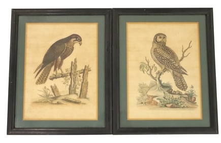 (2) HAND COLORED ENGRAVINGS, AFTER GEORGE EDWARDS