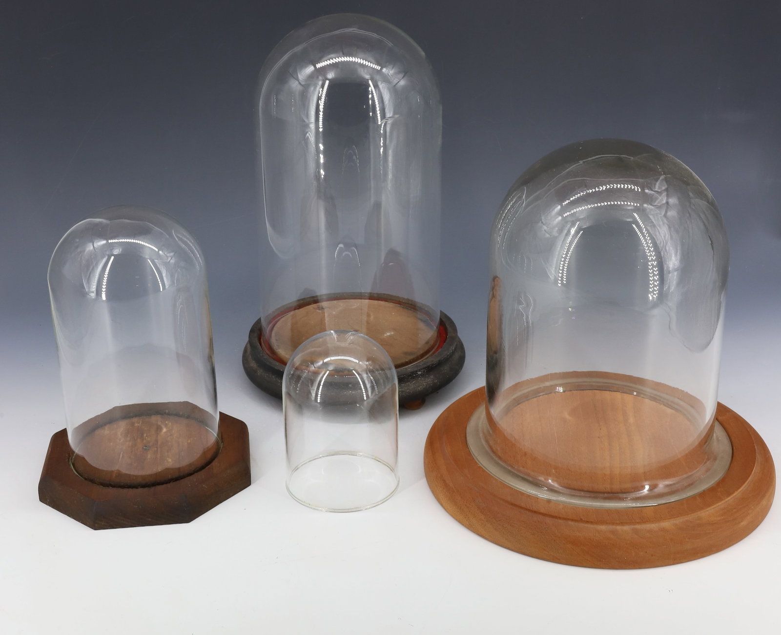 (4) GLASS DISPLAY DOMES (1 of 2)