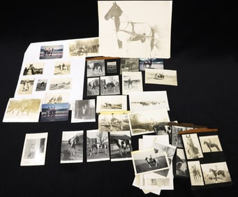 LOT OF VINTAGE HORSE PHOTOGRAPHS