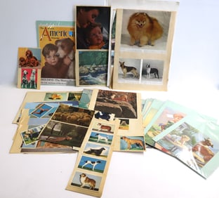LOT OF DOG THEMED ILLUSTRATIONS AND MORE