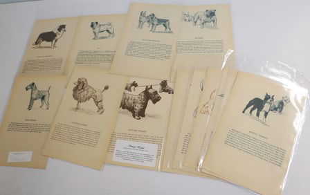 LOT OF "THE SKETCH BOOK OF DOGS" PLATES