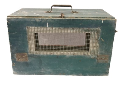 PAINTED ANIMAL CARRIER