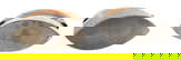 item-210428887=3