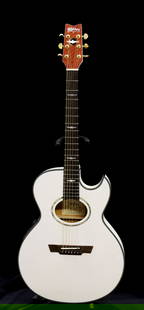 1997 WASHBURN FESTIVAL SERIES: CRAIG CHAIQUICO SIGNATURE MODEL EA262H. SERIAL #970300. NOS. PLEASE READ CAREFULLY - Terms for Purchasing and Shipping of Auction Items. Please read carefully before bidding. Hartzell&#8217;s Auction