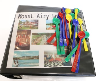 COLLECTION OF MT. AIRY HOUSE AND LODGE ITEMS