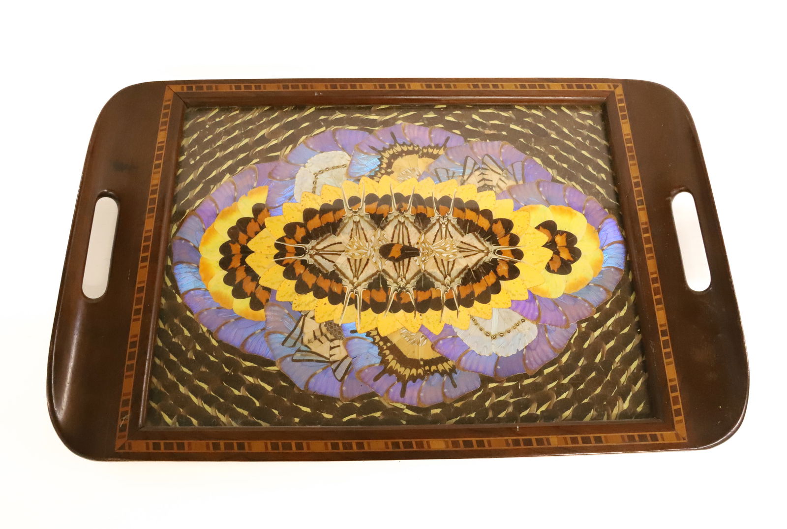 VINTAGE BUTTERFLY SERVING TRAY (1 of 4)