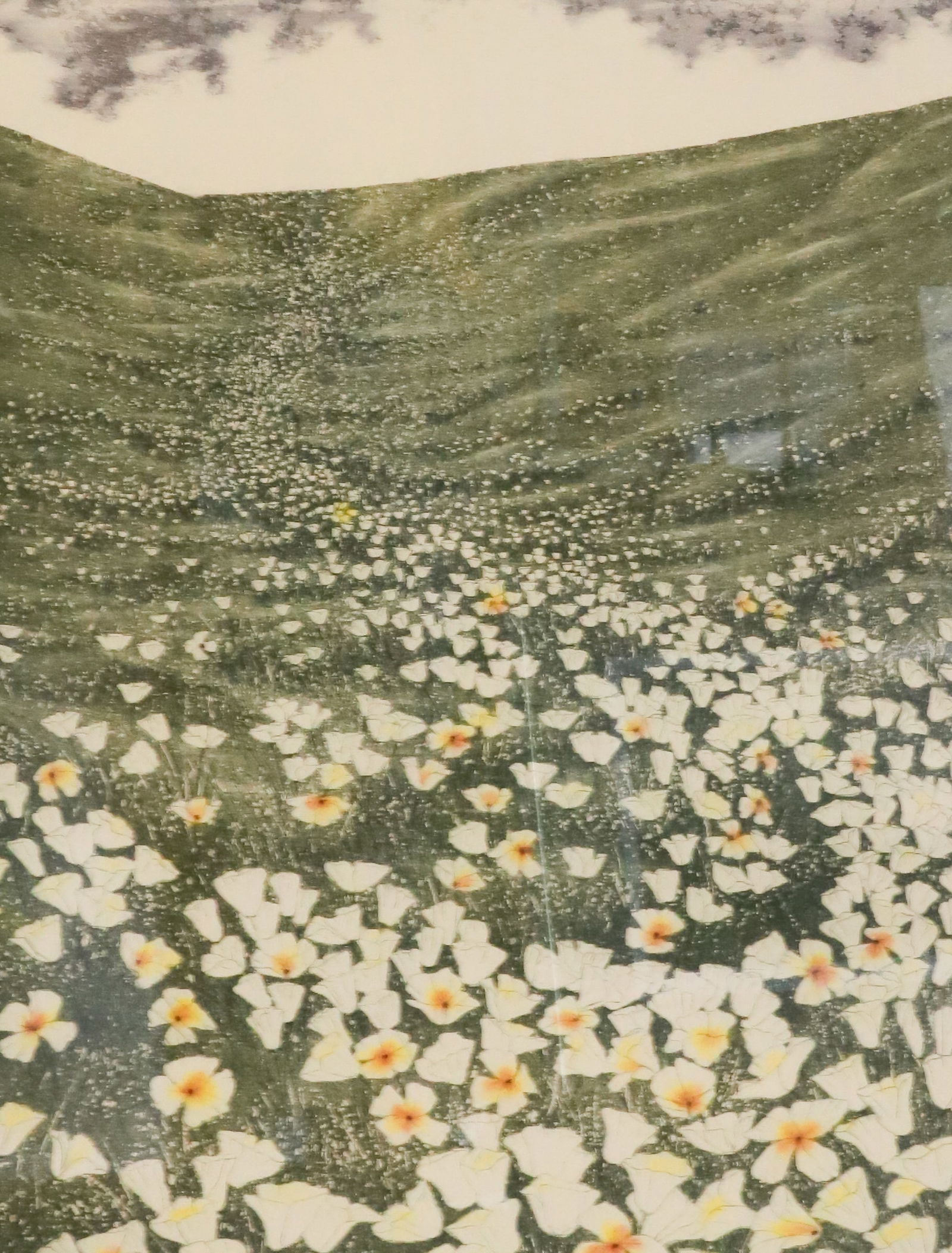 JOSEPH CULPEPPER "SNOW POPPIES" PRINT (1 of 7)