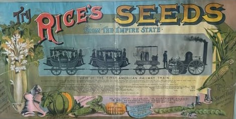FRAMED SEED ADVERTISEMENT