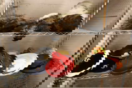 LARGE LOT OF VINTAGE HATS