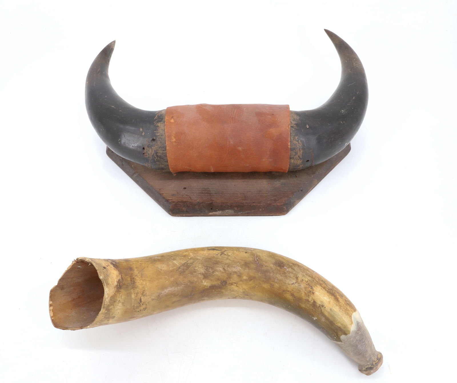 MOUNTED HORNS AND POWDER HORN (1 of 2)