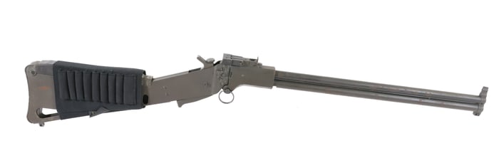 SPRINGFIELD ARMORY M-6 SURVIVAL GUN