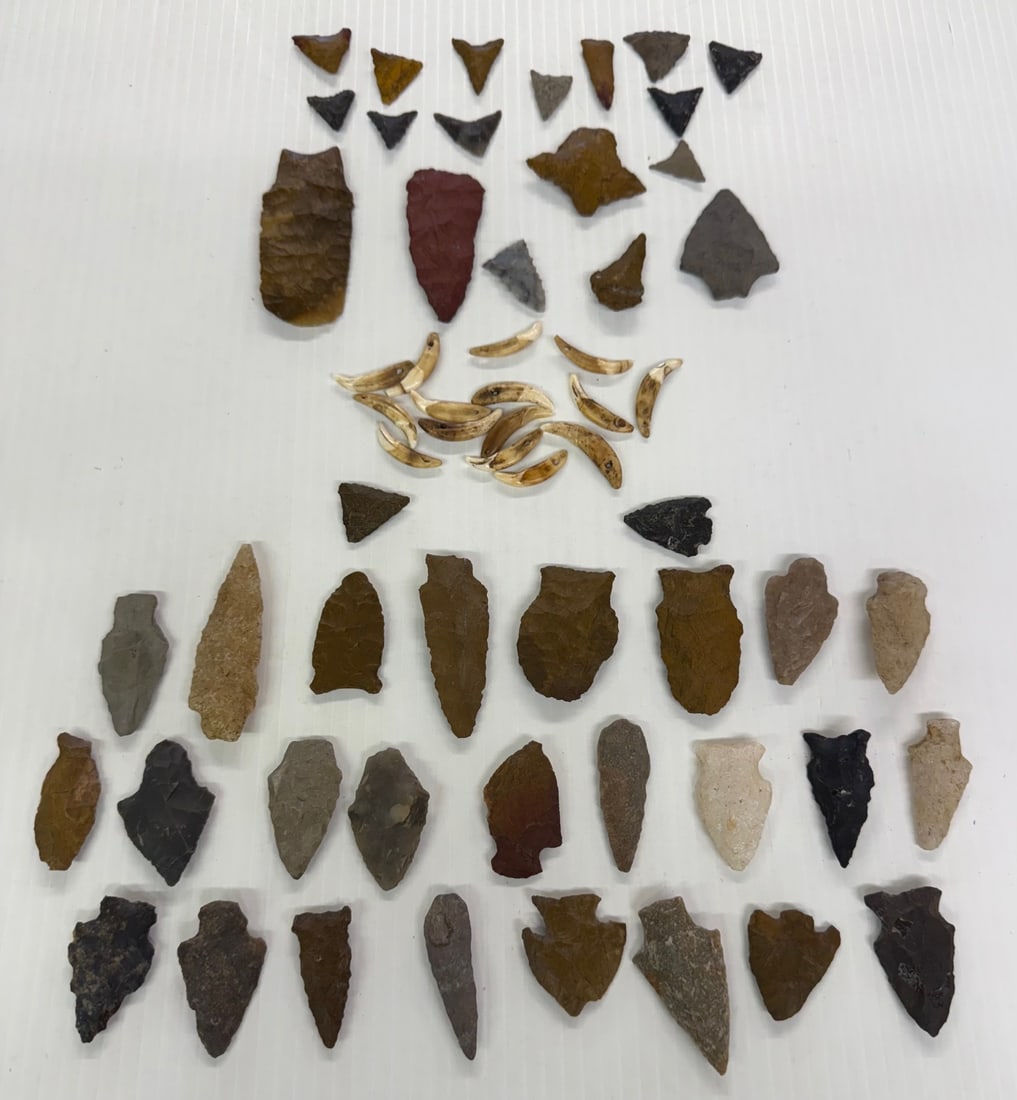 LOT OF (2) CASES OF CARVED STONE ARTIFACTS: VARIOUS SIZE AND SHAPE. LARGEST 3 1/8" L. PLUS, GROUP OF TEETH / CLAWS.
